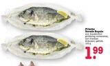 Frische Dorade Royale Angebote bei E center Baden-Baden für 1,99 €