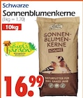 Schwarze Sonnenblumenkerne im Angebot bei Wreesmann in Görlitz Schwarze Sonnenblumenkerne Angebote von Bird's Garden bei Wreesmann Görlitz für 16,99 €