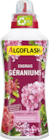 Delbard Sault-lès-Rethel - Promo Engrais géraniums ALGOFLASH® Promo Engrais géraniums ALGOFLASH® à 5,99 € dans le catalogue Delbard à Sault-lès-Rethel
