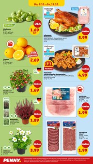 Schweinefleisch im Penny Prospekt "Wer günstig will, muss Penny." mit 36 Seiten (Münster)