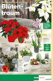 Zimmerpflanzen im BayWa Bau- und Gartenmärkte Prospekt in Reutlingen Aktueller BayWa Bau- und Gartenmärkte Prospekt mit Zimmerpflanzen, "Hier bin ich gern", Seite 8