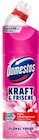 WC-Gel Kraft & Frische im Angebot bei Kaufland in Buxtehude WC-Gel Kraft & Frische Angebote von Domestos bei Kaufland Buxtehude für 1,59 €