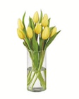 Tulpen  im aktuellen Lidl Prospekt für 1,99 €