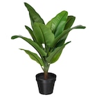 Geschenkartikel im IKEA Prospekt Topfpflanze, künstlich drinnen/draußen Bananenpflanze von FEJKA im aktuellen IKEA Prospekt für 9,99 €