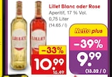 Netto Marken-Discount - Lillet Blanc Angebot im Prospekt Lillet Blanc bei Netto Marken-Discount im Prospekt "" für 9,99 €