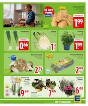 Pflanzen im EDEKA Prospekt in Ravensburg Aktueller EDEKA Prospekt mit Pflanzen, "Wir lieben Lebensmittel.", Seite 5