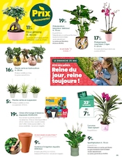 Promos Ficus dans le catalogue "Mai, osez !" de Truffaut à la page 9 Promos Ficus dans le catalogue "Mai, osez !" de Truffaut à la page 9