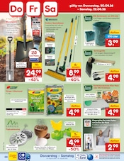 Saatgut im Netto Marken-Discount Prospekt in Schorndorf Aktueller Netto Marken-Discount Prospekt mit Saatgut, "Aktuelle Angebote", Seite 38