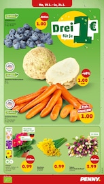 Aktueller Penny Prospekt mit Garten, "Wer günstig will, muss Penny.", Seite 5