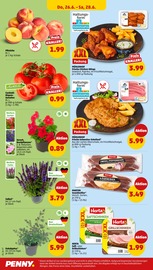 Schweineschnitzel im Penny Prospekt in Mannheim Aktueller Penny Prospekt mit Schweineschnitzel, "Wer günstig will, muss Penny.", Seite 28