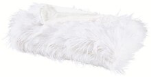 Kissen und Decken bei XXXLutz Möbelhäuser in Mannheim Kissen und Decken im Angebot bei XXXLutz Möbelhäuser Mannheim für 79,99 €