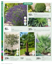 Palmier Angebote im Prospekt "PRÉPAREZ L’AUTOMNE : JARDIN - BRICOLAGE" von Carrefour Market Palmier Angebote im Prospekt "PRÉPAREZ L’AUTOMNE : JARDIN - BRICOLAGE" von Carrefour Market auf Seite 6