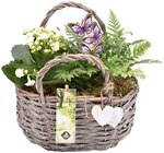 Aktuelles Weidentasche »Herzenskraft« Angebot bei REWE in Bottrop ab 9,99 €