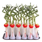 Lucky bambou spirale en promo chez Carrefour Ajaccio à 2,99 €