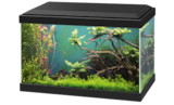 Aquarium Classic + Filtre CF40 - Ciano dans le catalogue Animalis