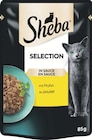 Katzennassfutter Angebote von Sheba bei ZooRoyal Hamburg für 0,49 €