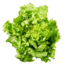 Ital. Endiviensalat, lose bei Kaufland im Markt Schwaben Prospekt für 1,29 €