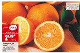 Cora - Orange à jus : offre du catalogue Promo Orange à jus à 2,99 € dans le catalogue Cora ""