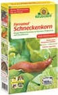 Ferramol Schneckenkorn im V-Markt Prospekt Ferramol Schneckenkorn von im aktuellen V-Markt Prospekt für 7,99 €