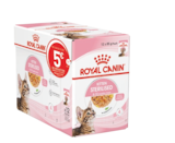 Maxi pack Royal Canin dans le catalogue Maxi Zoo