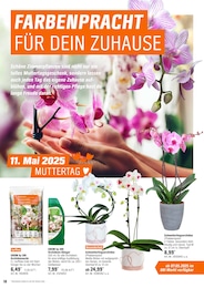Blumenerde Angebot & Preis im aktuellen OBI Prospekt Blumenerde Angebot im aktuellen OBI Prospekt auf Seite 18
