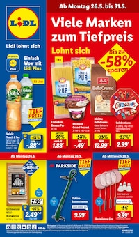 Lidl Prospekt LIDL LOHNT SICH mit  Seiten in Dargun und Umgebung
