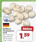 combi Marienfeld - Champignons weiß Angebot im Prospekt Champignons weiß bei combi im Marienfeld Prospekt für 1,59 €
