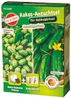 Anzucht-Set Angebote von MycoPlant bei Netto mit dem Scottie Schwerin für 1,99 €