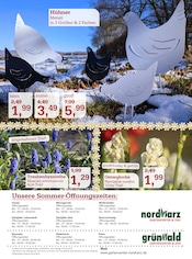 Aktueller Garten-Center Nordharz GmbH & Co. KG Prospekt mit Blumenzwiebeln, "ES DUFTET NACH FRÜHLING!", Seite 12