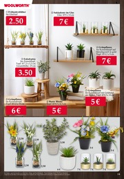 Garten Angebot & Preis im aktuellen Woolworth Prospekt Garten Angebot im aktuellen Woolworth Prospekt auf Seite 10