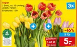 Aktuelle Tulpen Angebote bei Netto Marken-Discount in Karlsruhe Aktuelles Tulpen Angebot bei Netto Marken-Discount in Karlsruhe ab 5,00 €