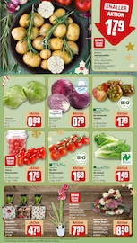 Blumen im REWE Prospekt in Germering Aktueller REWE Prospekt mit Blumen, "Dein Markt", Seite 9