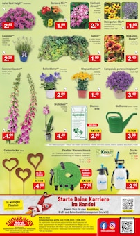 Blumenerde im Zimmermann Prospekt "Mehr als Du denkst!" mit 8 Seiten (Hannover)