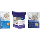 SUR TOUTES LES CROQUETTES POUR CHATS - CARREFOUR COMPANINO EXPERT - Carrefour SUR TOUTES LES CROQUETTES POUR CHATS - CARREFOUR COMPANINO EXPERT dans le catalogue Carrefour