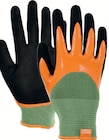 Kiebitzmarkt Buchholz - Pflanzen & Pflegen Handschuhe Angebot im Prospekt Pflanzen & Pflegen Handschuhe bei Kiebitzmarkt im Buchholz Prospekt für 5,99 €