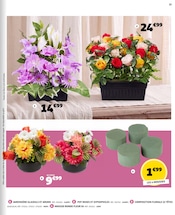 Promos Jardinière dans le catalogue "HALLOWEEN MÊME PAS PEUR !" de Gifi à la page 23