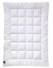 Aktuelle Kissen Angebote bei Möbel Martin in Wiesbaden Aktuelles Bettwaren-Serie Angebot bei Möbel Martin in Wiesbaden ab 30,00 €