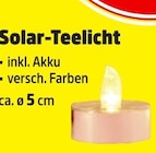 Solar-Teelicht Angebote bei Thomas Philipps Euskirchen für 1,00 €