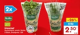 Aktuelle Pflanzen Angebote bei Netto Marken-Discount in Mönchengladbach Aktuelles Kräutertopf Angebot bei Netto Marken-Discount in Mönchengladbach ab 1,69 €
