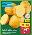 Back- & Grillkartoffeln bei ALDI Nord im Paderborn Prospekt für 1,49 €