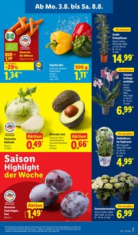 Hortensie im aktuellen Lidl Prospekt (Karlsruhe) Hortensie im Lidl Prospekt "LIDL LOHNT SICH" mit 69 Seiten (Karlsruhe)