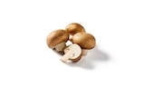 Braune Bio Kulturchampignons bei Lidl im Bad Wildungen Prospekt für 1,45 €