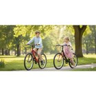 VTT 24 pouces - TOPLIFE en promo chez Carrefour Montrouge à 159,99 €