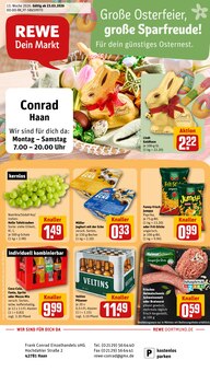 REWE Haan Prospekt der aktuellen Woche, gültig von 23.03.2026 bis 28.03.2026 Aktueller REWE Haan Prospekt "Dein Markt" mit 31 Seiten