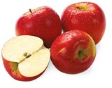 Rote Tafeläpfel im Angebot bei REWE in Mainz Rote Tafeläpfel Angebote bei REWE Mainz für 1,49 €