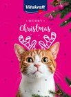 Adventskalender für Hunde oder Katzen Angebote von Vitakraft bei GLOBUS Rostock für 9,99 €