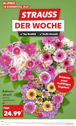 Kaufland Schnittblumen im Prospekt 