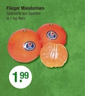 Flieger Mandarinen von DER FLIEGER im aktuellen V-Markt Prospekt für 1,99 €