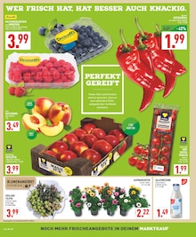 Marktkauf Ahlen Prospekt der aktuellen Woche, gültig von 07.04.2026 bis 11.04.2026 Aktueller Marktkauf Ahlen Prospekt "Aktuelle Angebote" mit 20 Seiten