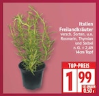 Italien Freilandkräuter bei EDEKA im Falkensee Prospekt für 1,99 €